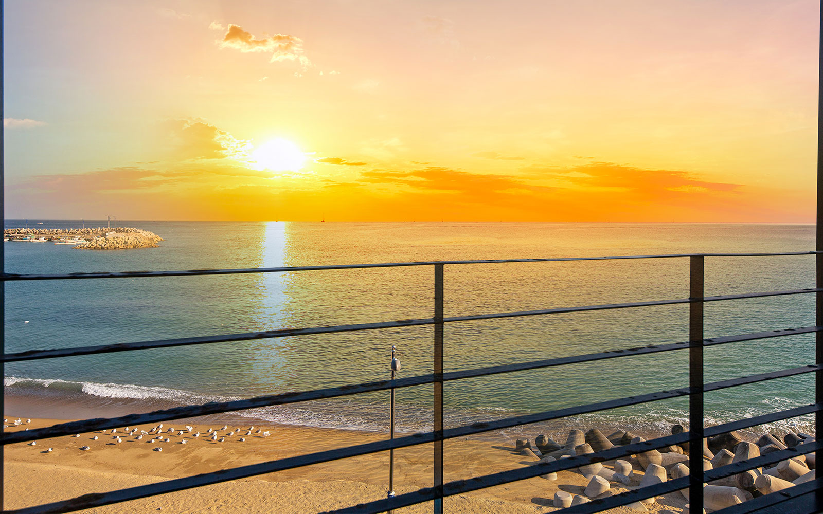 스노클링이미지